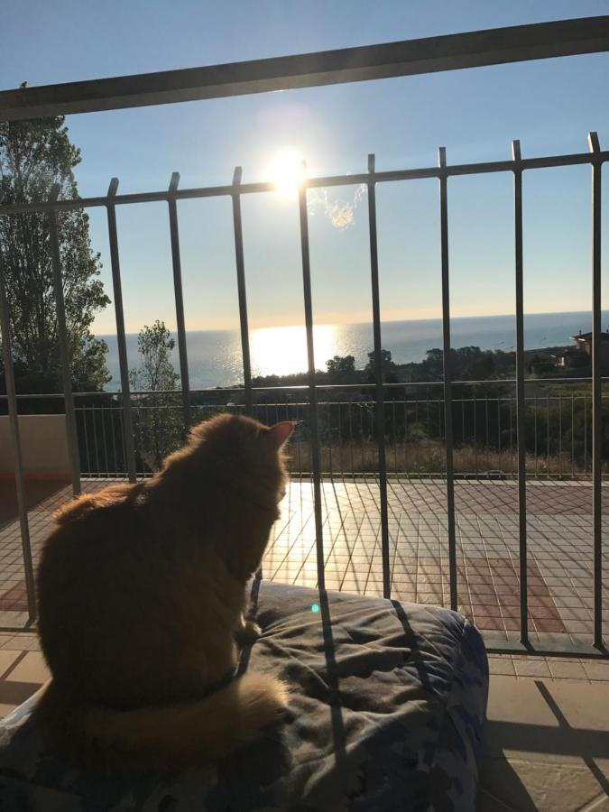 Luna Apartaments Badolato Marina Екстериор снимка
